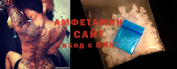 прущие грибы Рославль