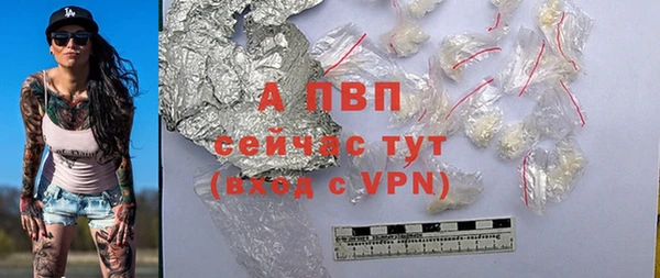 крисы Белоозёрский
