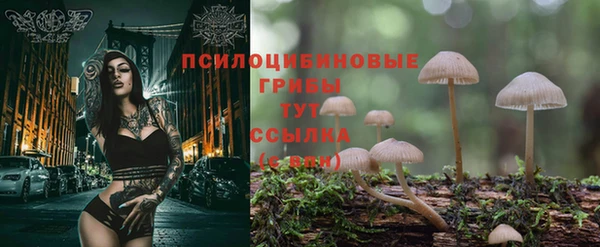 apvp Балахна