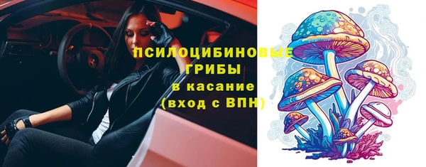 скорость Белокуриха