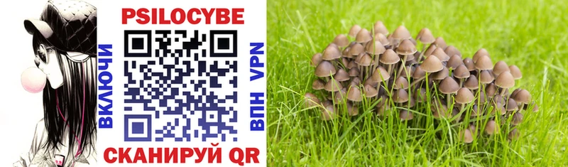 Галлюциногенные грибы Psilocybine cubensis Соль-Илецк